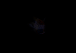  storage emulated 0 yabause screenshots mk 81800 2022 03 25 15 40 14
